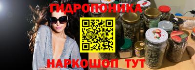 прущие крисы Берёзовский