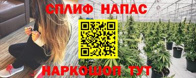 прущие крисы Берёзовский