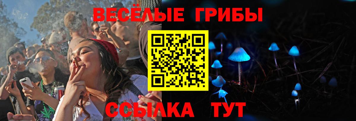 Галлюциногенные грибы прущие грибы  Вход с VPN  Кизилюрт 